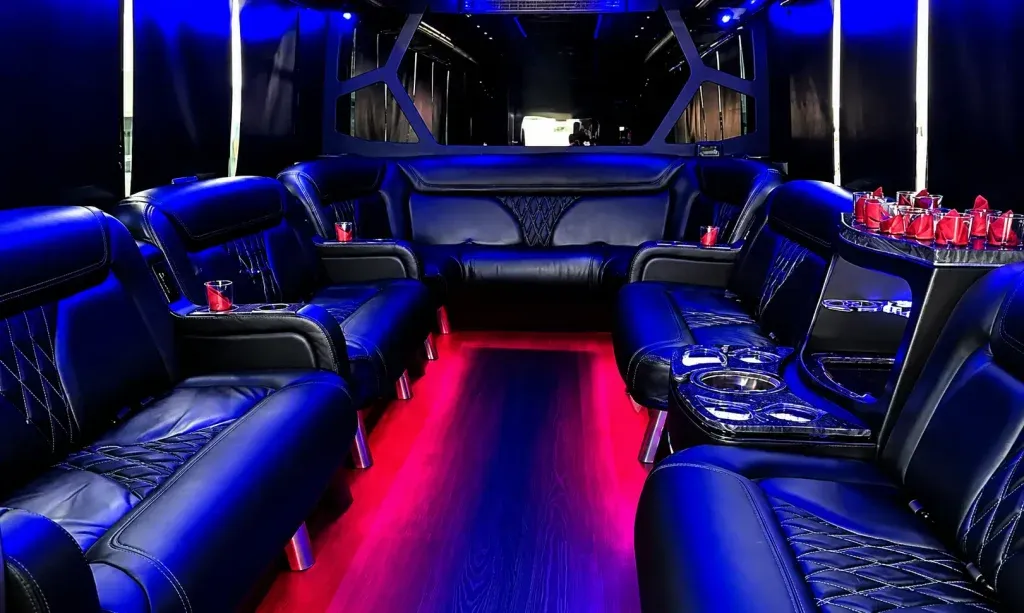 White 18 Pax Party Bus for party bus rental