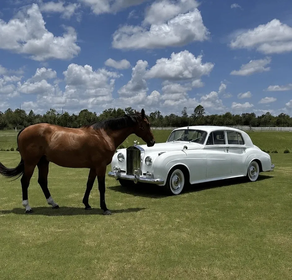 White 1960 Rolls-Royce Silver Cloud exterior, photo 3 for wedding car rental