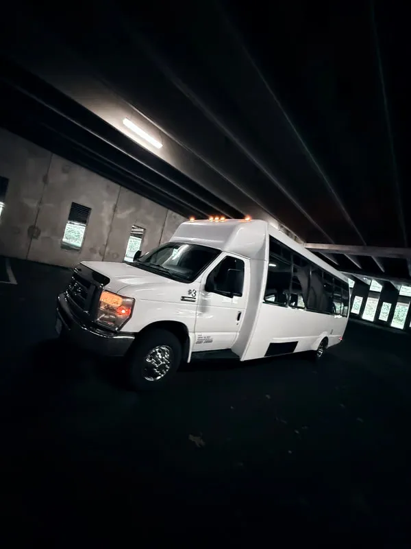 White Ford E-450 Series Party Bus exterior, photo 9 for party bus rental