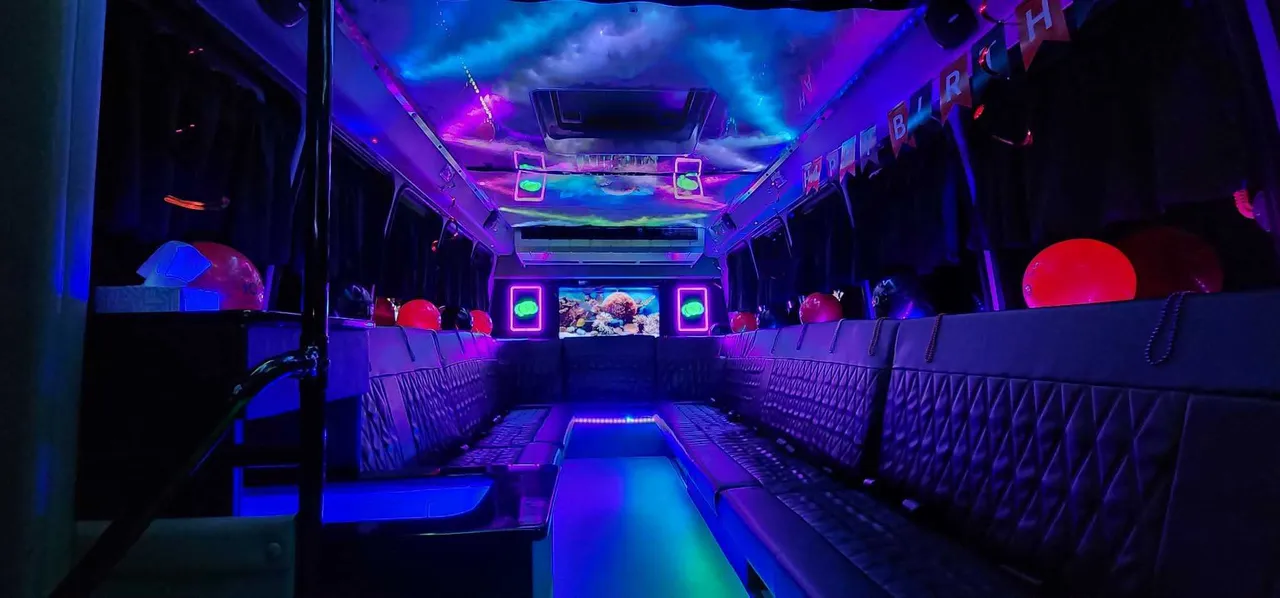 20 Passenger Luxury Party Bus (Dark Shadow) interior with perimeter lounge seating, LED accent lighting and LED ceiling lighting for party bus rental in Palm Coast, FL