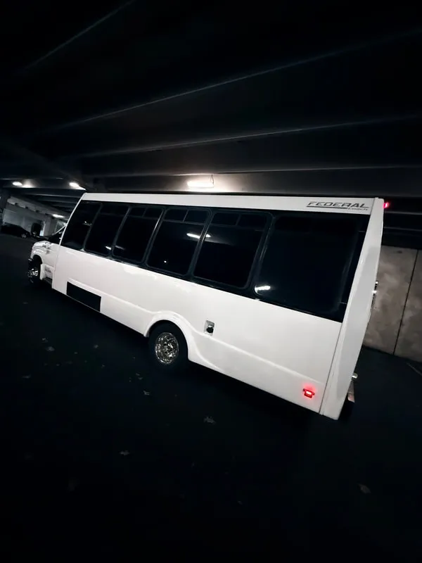White Ford E-450 Series Party Bus exterior, photo 12 for party bus rental