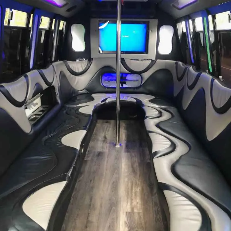Ford Party Bus interior for party bus rental
