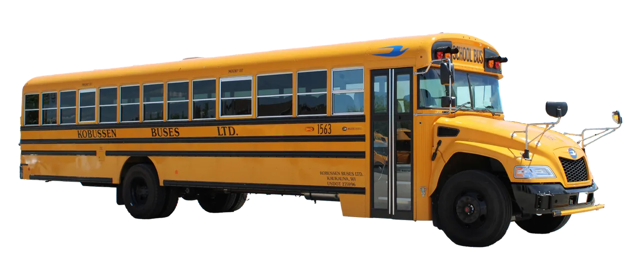 Large School Bus — 54 At Two Per Seat for charter bus rental