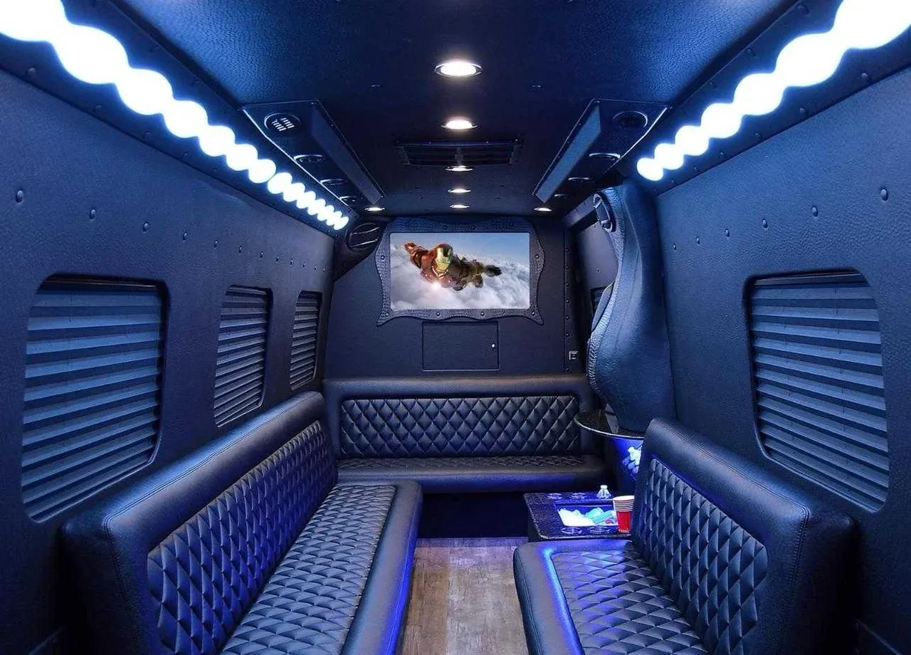 The black Mercedes-Benz Limousine Coach, shot 3