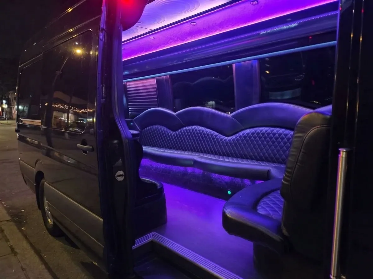 The black Mercedes-Benz Limousine Sprinter, shot 2