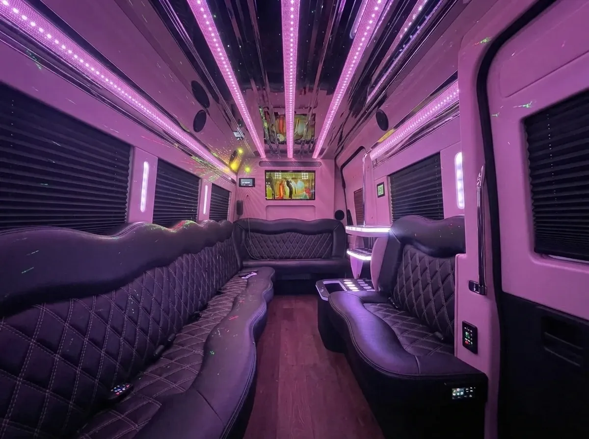 The black Mercedes-Benz Sprinter Limousine, shot 2