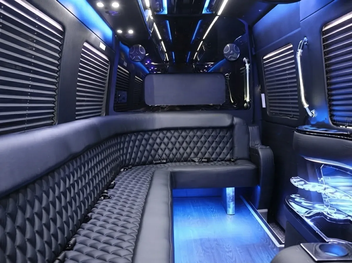 The black Mercedes-Benz Sprinter Limousine, shot 8