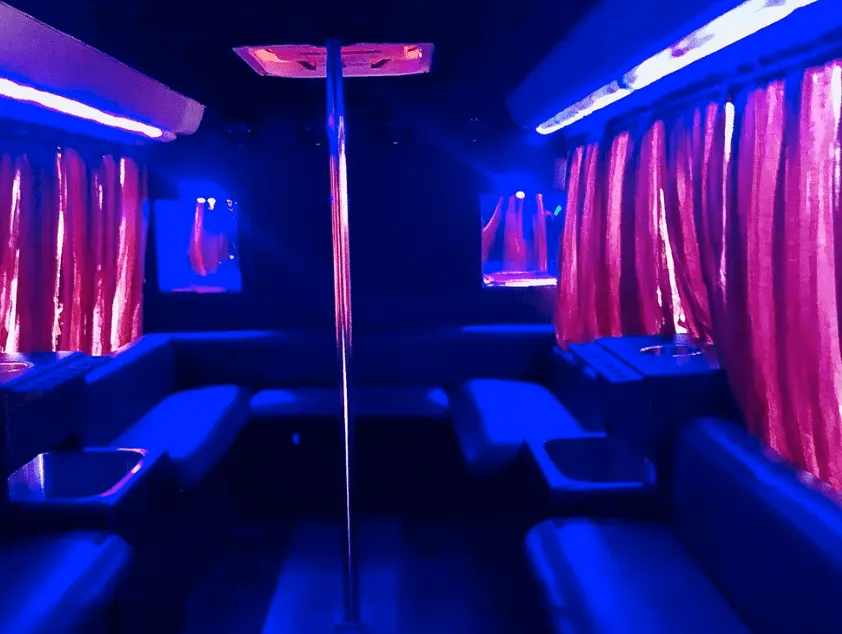 16 Passenger Party Bus interior with perimeter lounge seating, window shades and dance pole for party bus rental in Paso Robles, CA