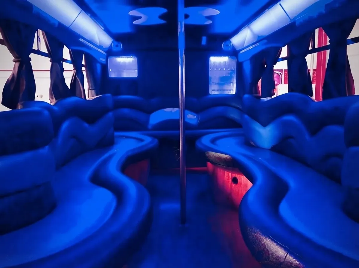The black 18 Passenger Party Bus, shot 2