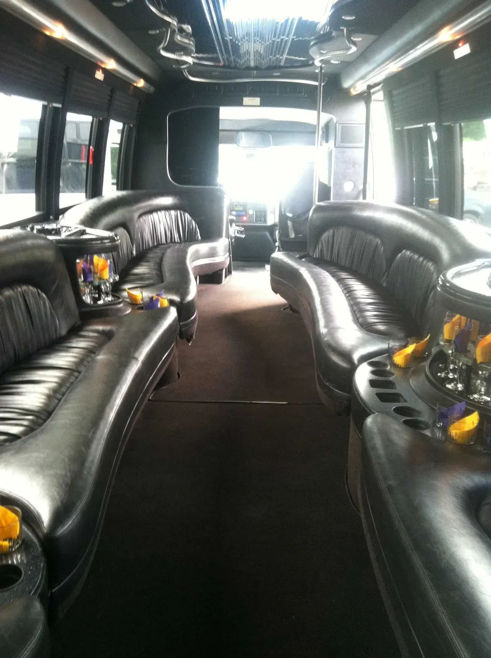 Party Bus - Dean Martin interior with perimeter lounge seating, cup holders and window shades for party bus rental in Tully, NY