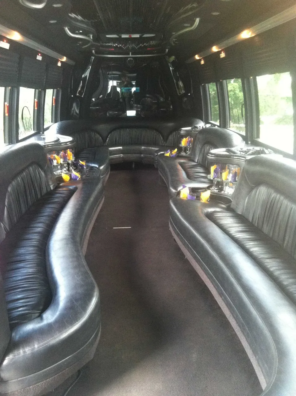 Party Bus - Dean Martin interior with perimeter lounge seating, cup holders and window shades, photo 3 for party bus rental in Tully, NY
